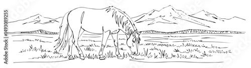 horse grazing on meadow near mountain range abstract continuous-line silhouette