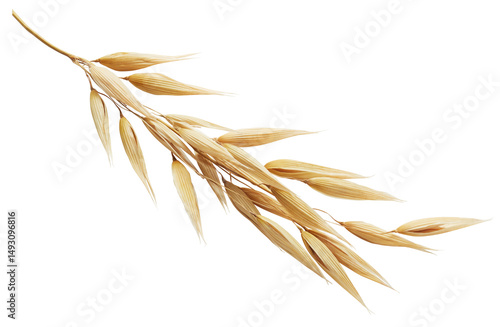 Papier peint oat plant