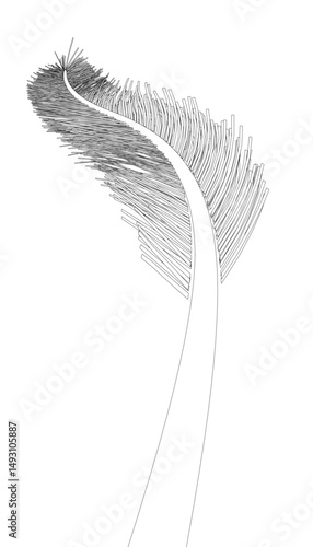 A feather is drawn in black and white with a lot of dots. The feather is long and thin, with a curved tip. The image has a minimalist and abstract feel to it, with the focus on the feather's shape