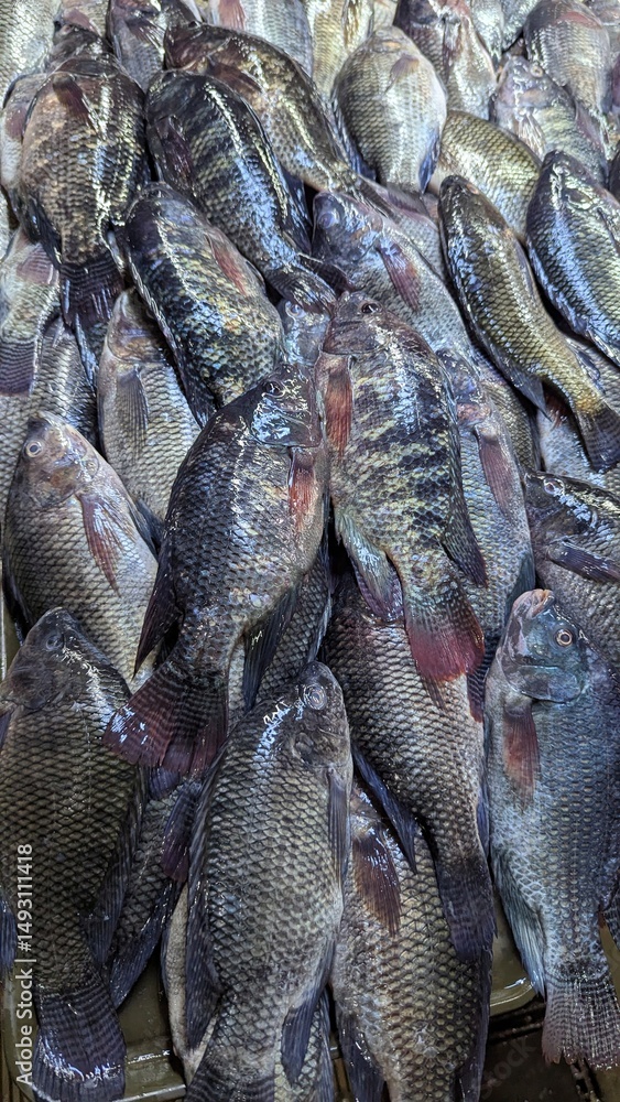 Φωτογραφία Freshwater tilapia cichlid fish at fish market stall in capital city of Manila P