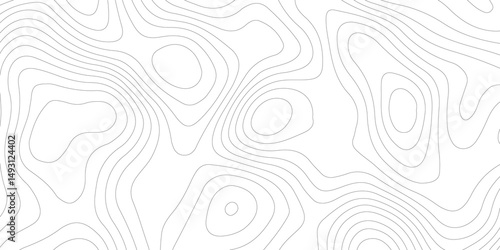 Abstract Topographic map background with wave line. White wave paper curved reliefs abstract background. Vector illustration. wave Line topography map contour background.