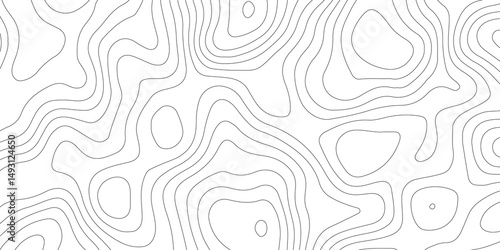 Abstract Topographic map background with wave line. White wave paper curved reliefs abstract background. Vector illustration. wave Line topography map contour background.