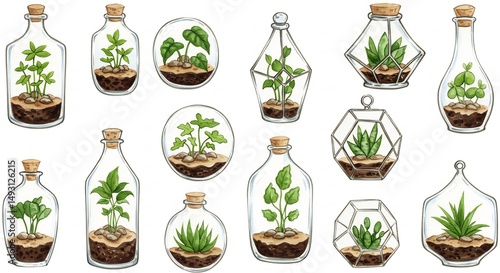 Watercolor Illustration of Various Small Plants in Glass Terrariums