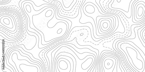 Abstract Topographic map background with wave line. White wave paper curved reliefs abstract background. Vector illustration. wave Line topography map contour background.