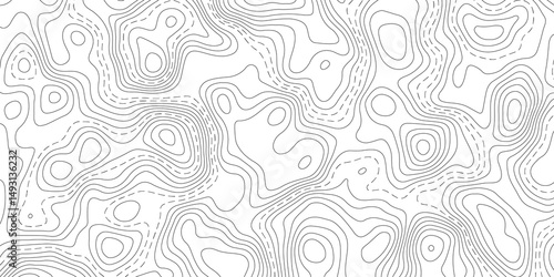 Abstract Topographic map background with wave line. White wave paper curved reliefs abstract background. Vector illustration. wave Line topography map contour background.