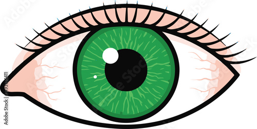 eye of the eye