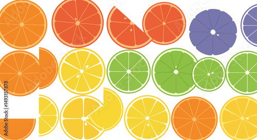 Colorful Citrus Slices Pattern Design