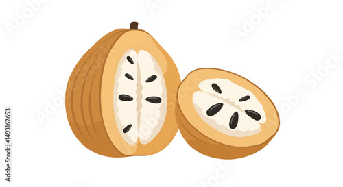 Illustration Of Cut Custard Apple