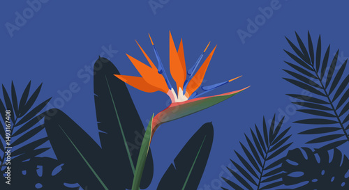 Vibrant Bird Of Paradise Flower Against Dark Blue Background