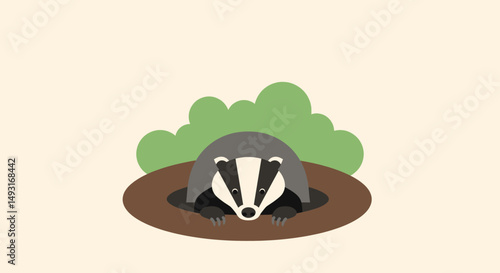 Badger Looking Into Burrow Illustration