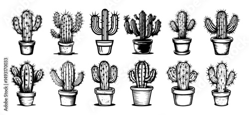 cactus in pots decorative plants sketch silhouette vector