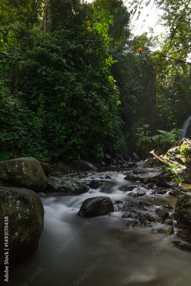 Obraz premium Natural Beauty of Tropical Green Forests with Mountains and Waterfalls in Indonesia