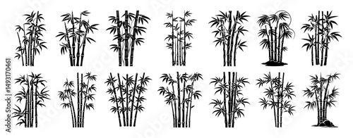 bamboo plants collection engraving sketch vector shape