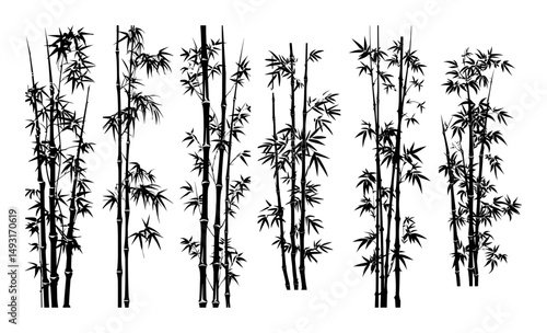 tall bamboo stalks black sketch silhouette vector