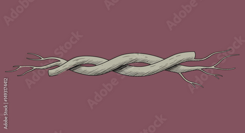 Intricate Twined Branches Illustration