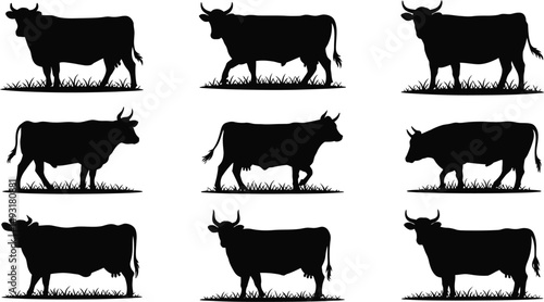 Nine silhouettes of cows grazing in grass