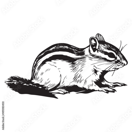 Chipmunk silhouette vector illustration
