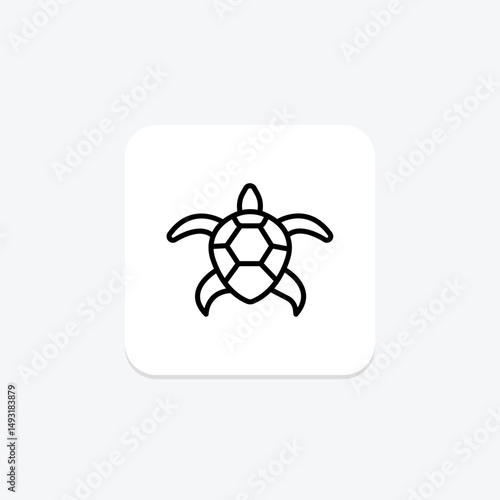 Coooter Turtle, vector, pixel perfect, illustrator file