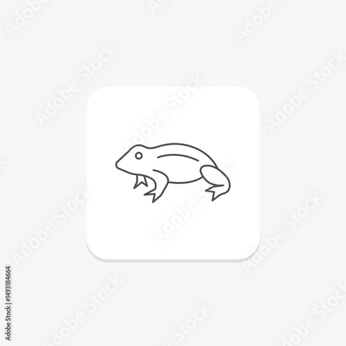 African Dwarf Frog, vector, pixel perfect, illustrator file