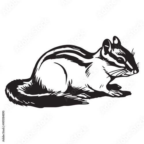 Chipmunk silhouette vector illustration