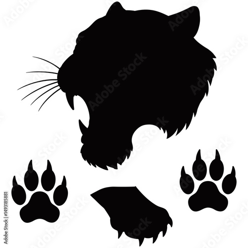 Vector silhouette of a roaring tiger head with sharp fangs, alongside front and bottom views of tiger paws with claws.
