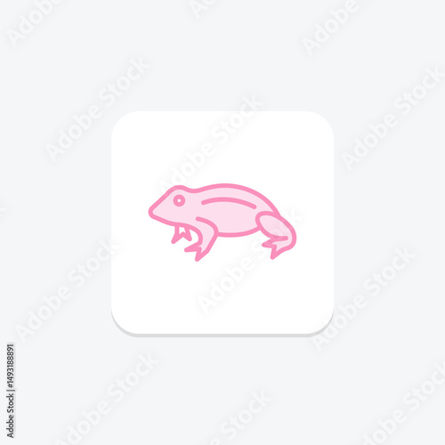 African Dwarf Frog, vector, pixel perfect, illustrator file