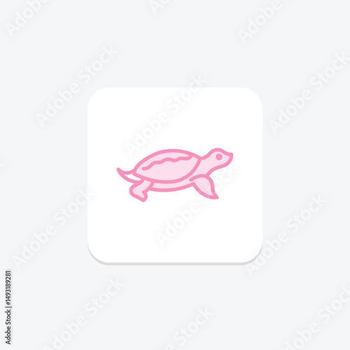 Softshell Turtle, vector, pixel perfect, illustrator file
