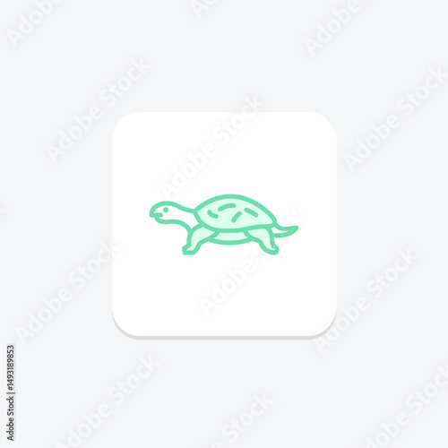 Musk Turtle, vector, pixel perfect, illustrator file