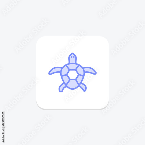 Map Turtle, vector, pixel perfect, illustrator file