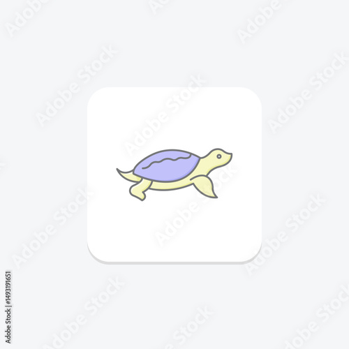 Softshell Turtle, vector, pixel perfect, illustrator file