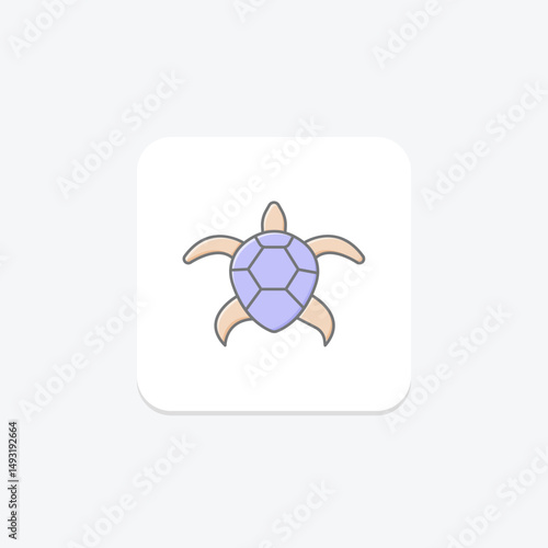 Coooter Turtle, vector, pixel perfect, illustrator file