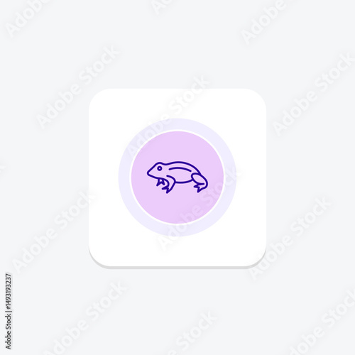 African Dwarf Frog, vector, pixel perfect, illustrator file