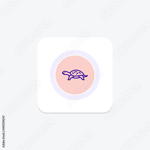 Musk Turtle, vector, pixel perfect, illustrator file