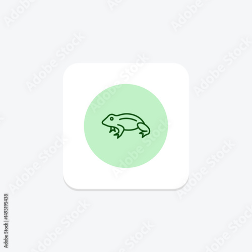 African Dwarf Frog, vector, pixel perfect, illustrator file