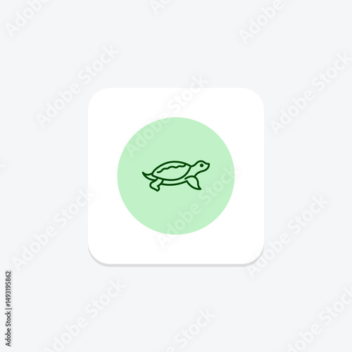 Softshell Turtle, vector, pixel perfect, illustrator file