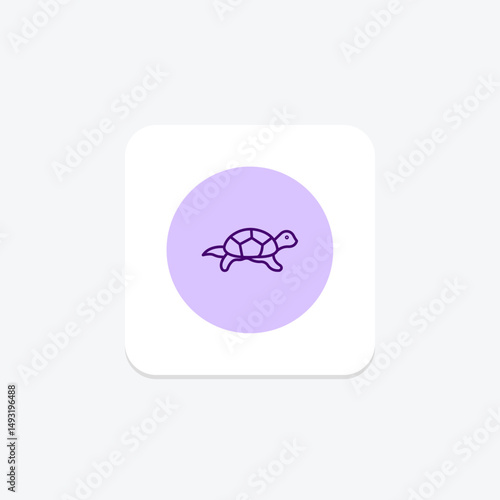 Pond Turtle, vector, pixel perfect, illustrator file