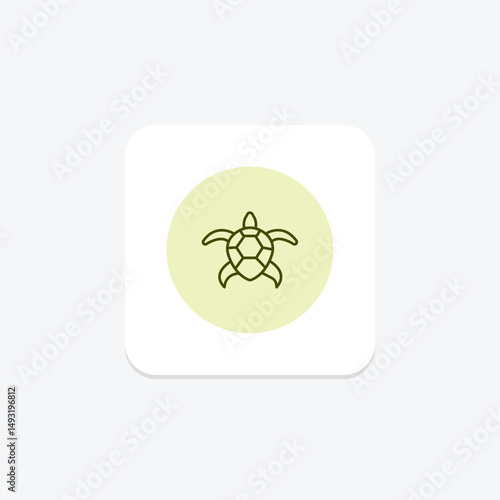 Coooter Turtle, vector, pixel perfect, illustrator file