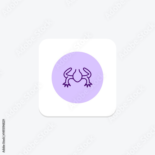 Clawed Frog, vector, pixel perfect, illustrator file