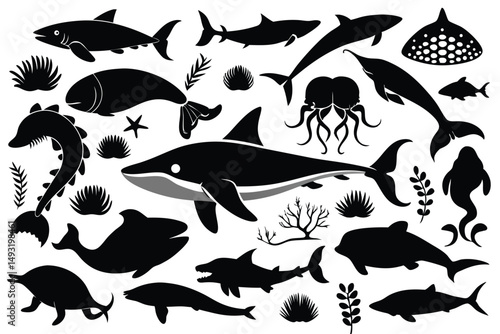 silhouettes of sharks dolphin ocean animal various shark species