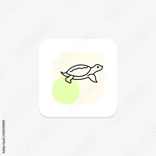 Softshell Turtle, vector, pixel perfect, illustrator file