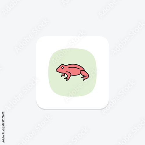African Dwarf Frog, vector, pixel perfect, illustrator file