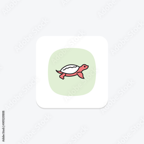Softshell Turtle, vector, pixel perfect, illustrator file
