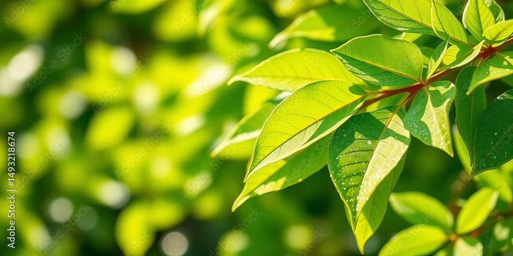 Vibrant green leaves with sparkling glitter, bokeh effect, fresh spring/summer nature background, summer, vivid Vibrant green leaves with sparkling glitter, bokeh effect, fresh spring/summer nature background, summer, vivid