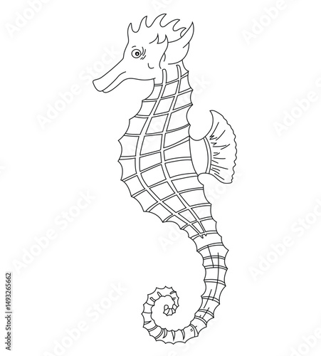 Cute cartoon hand drawn vector seahorse coloring page.