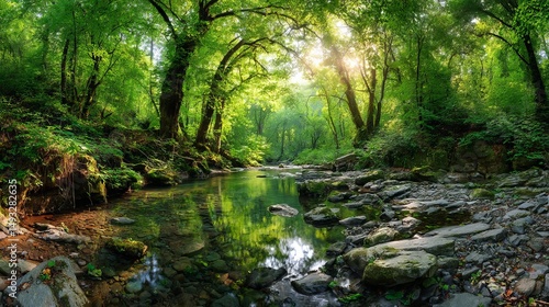 Tranquil river flowing through lush green forest nature photography serene environment captured from ground level
