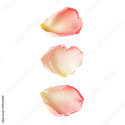 Wallpaper Mural v white and transparent background. Torontodigital.ca