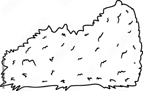 sketch bush
