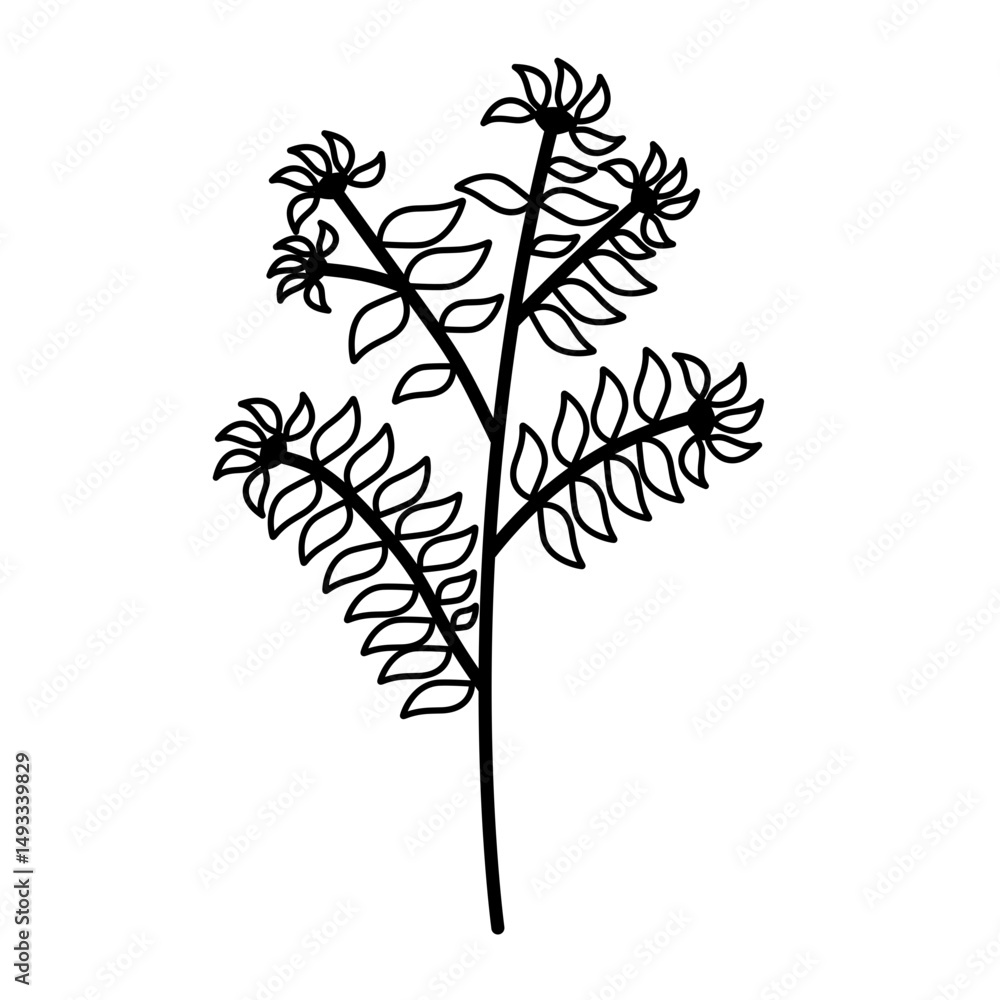 Obraz premium dry tree outline silhouette