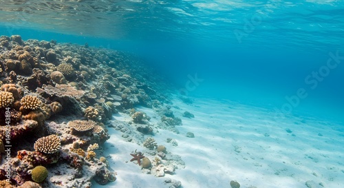 Fototapeta Naklejka Na Ścianę i Meble -  Underwater view of coral reef with clear turquoise water and sandy seabed landscape