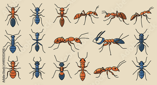 Cartoon Ants Diverse Poses Colors and Markings in a Stylized Illustration